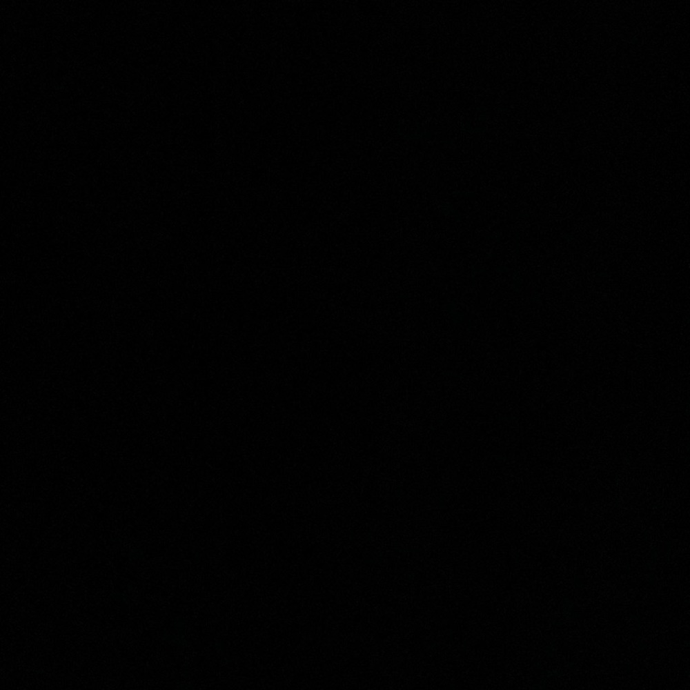IGNORE